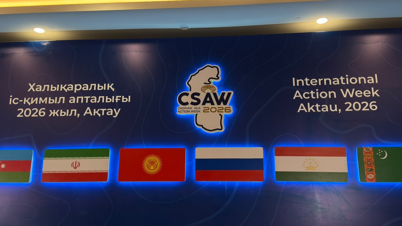 Новости